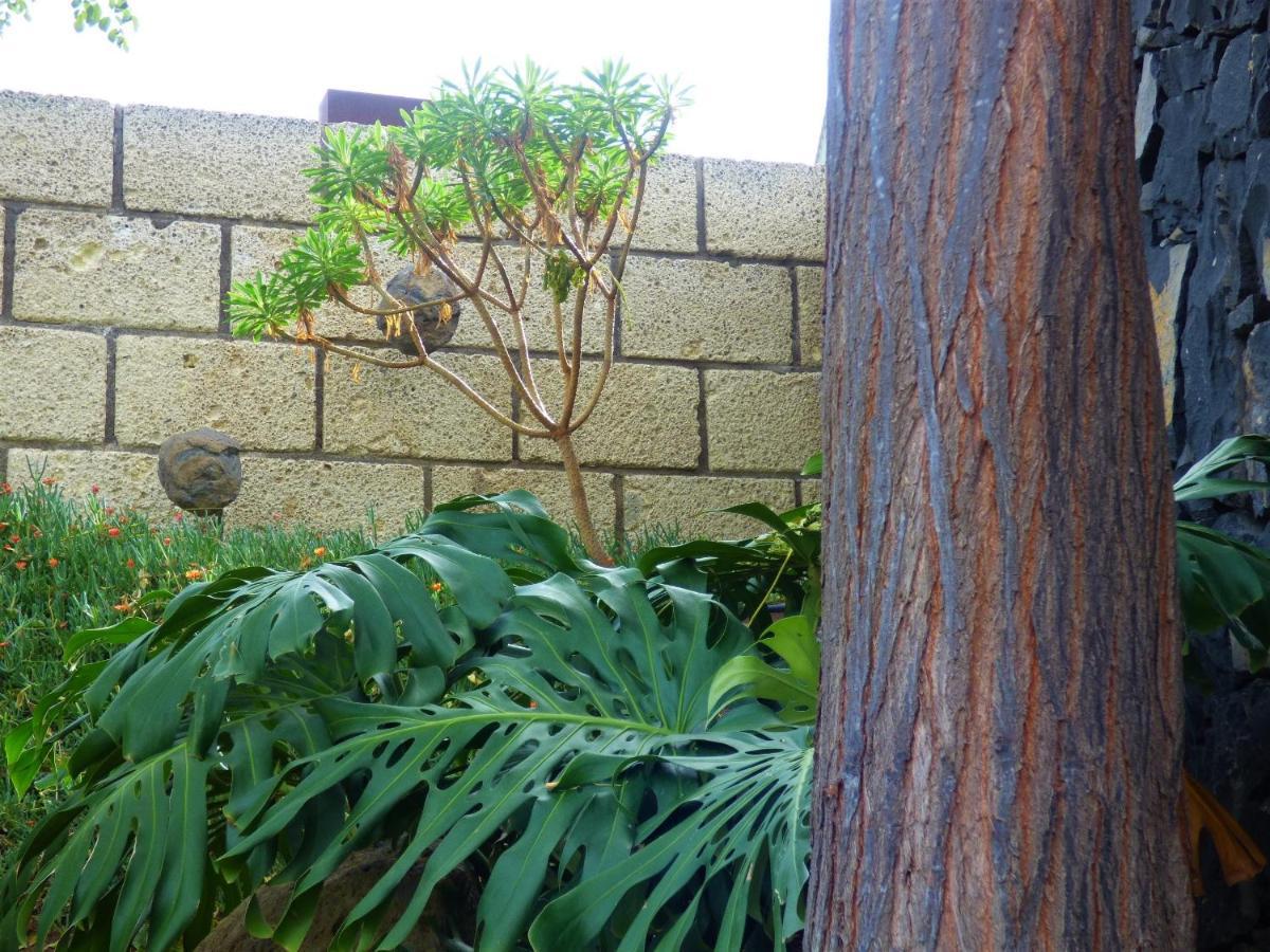 Eco Suites Caves San Cristóbal de La Laguna Exterior foto